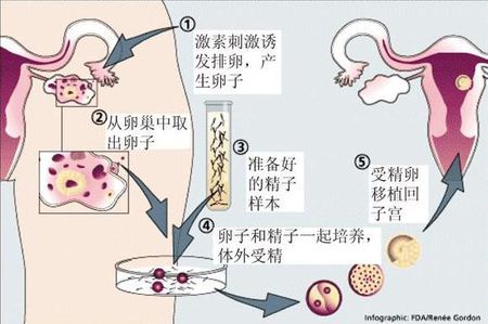 陈思远